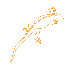 Animals Lizards Blue Iguana Outline Icon Svg Set, Free Vectors File